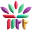 TIFF 2026